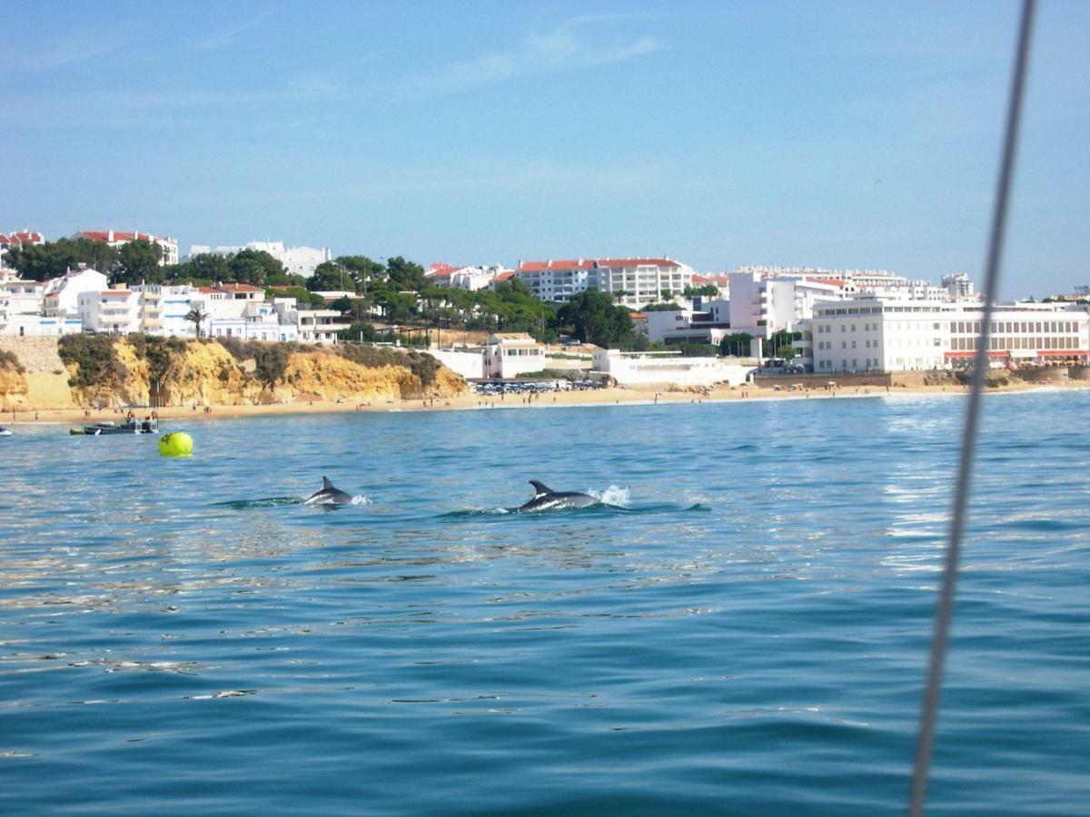 Villa Eber - Independent 1 & 2 Bedroom Apartments, Pool, Air Con, Fast Wi-Fi, Near Old Town Of Albufeira And Beaches Exterior foto